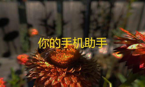 和平精英辅助永久2.0不封号你的手机助手